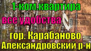 Продается 1-комнатная квартира по ул. Лермонтова гор. Карабаново Александровского р-на