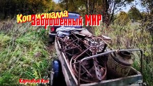 Коп металла. Побег из дома в лес🤕