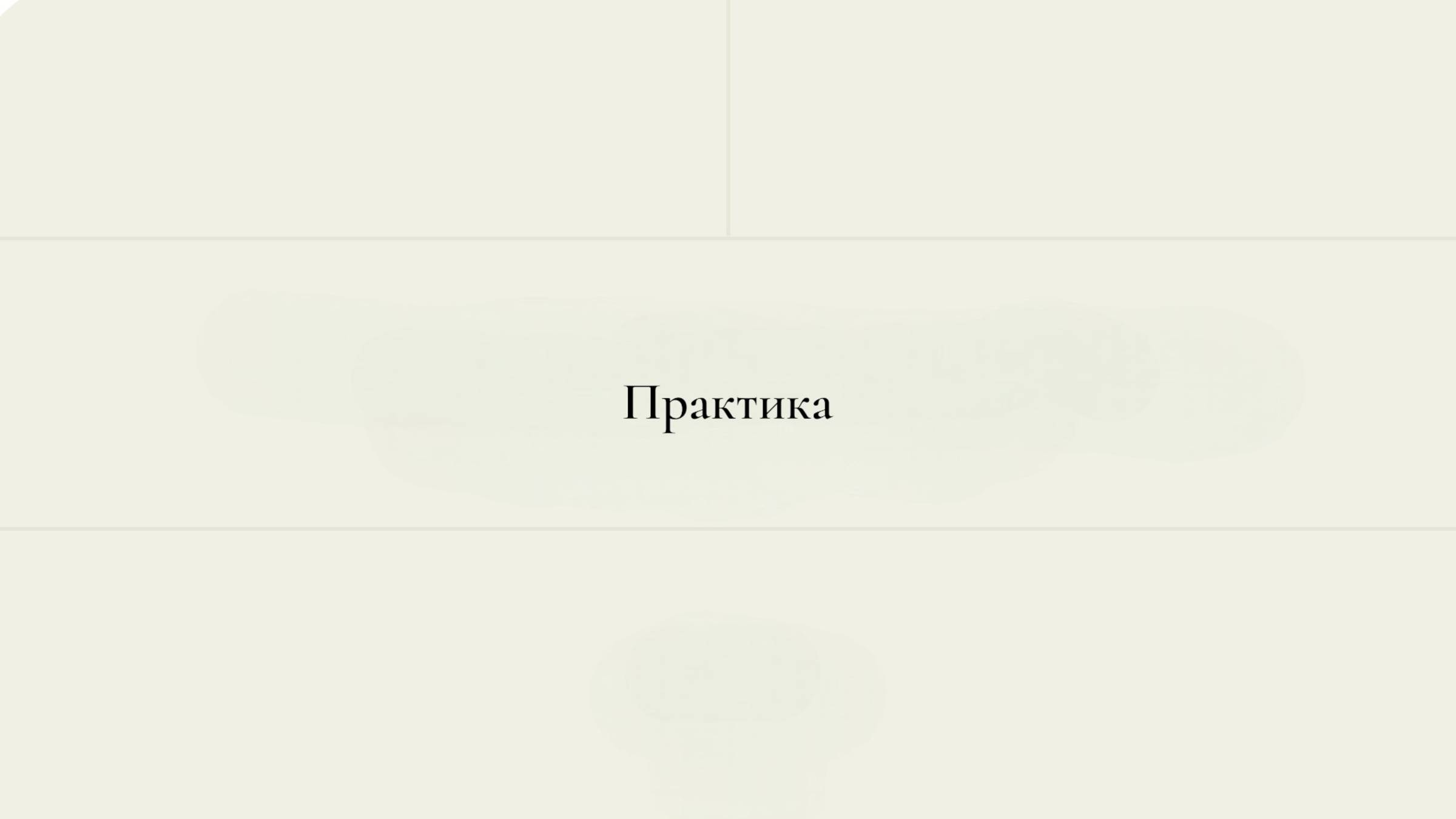 практика