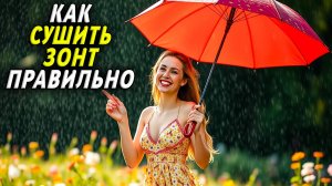 Как Сушить Зонт Правильно
