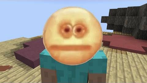 Бесконечный Minecraft: Vibe Check! Слишком странно, чтобы быть правдой? 😵💫