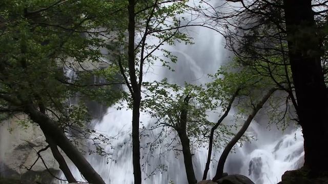 Медитация «Высокие вибрации» смотреть онлайн