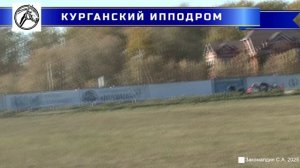 04.10.2025 - Заезд 6: Групповой, для лошадей орловской рысистой породы 4-х лет и старше. 1600 м.