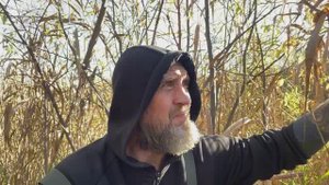 охотим бобров капканами