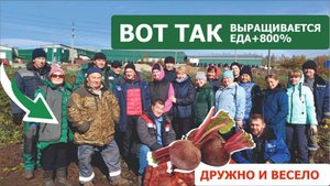 Свекла, выросшая на биопрепаратах, дала прибавку по витаминам и минералам в 625%!