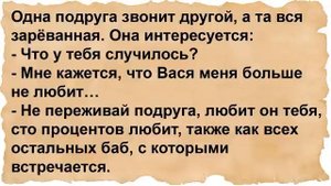 Как у Вовочки мечта сбылась. Сборник анекдотов