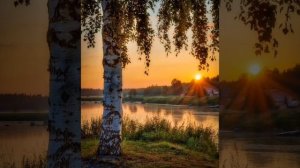 Ведёт тихий вечер со мной разговор