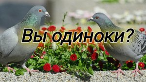 Снять венец безобрачия? Избавиться от одиночества? Это возможно!