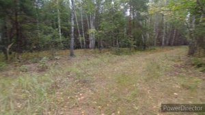 За зонтиками