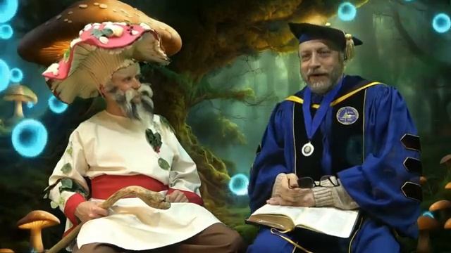 Грибовед и грибовод. Встреча с Дедом Мухомором.