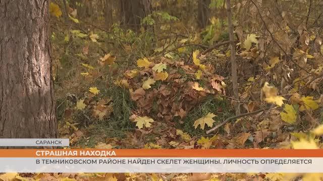 В Темниковском районе найден скелет женщины