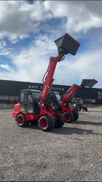 Телескопический Мини погрузчик Polar Badger WL 50АT/ WL 50T от компании Деталь смотреть онлайн