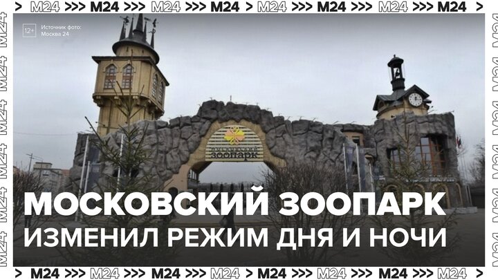 В Московском зоопарке поменяли режим дня и ночи для животных - Москва 24