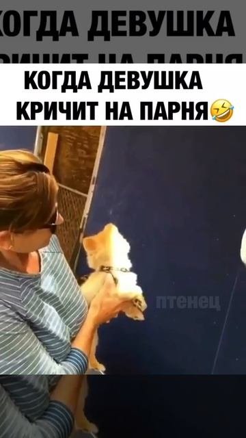 video687068