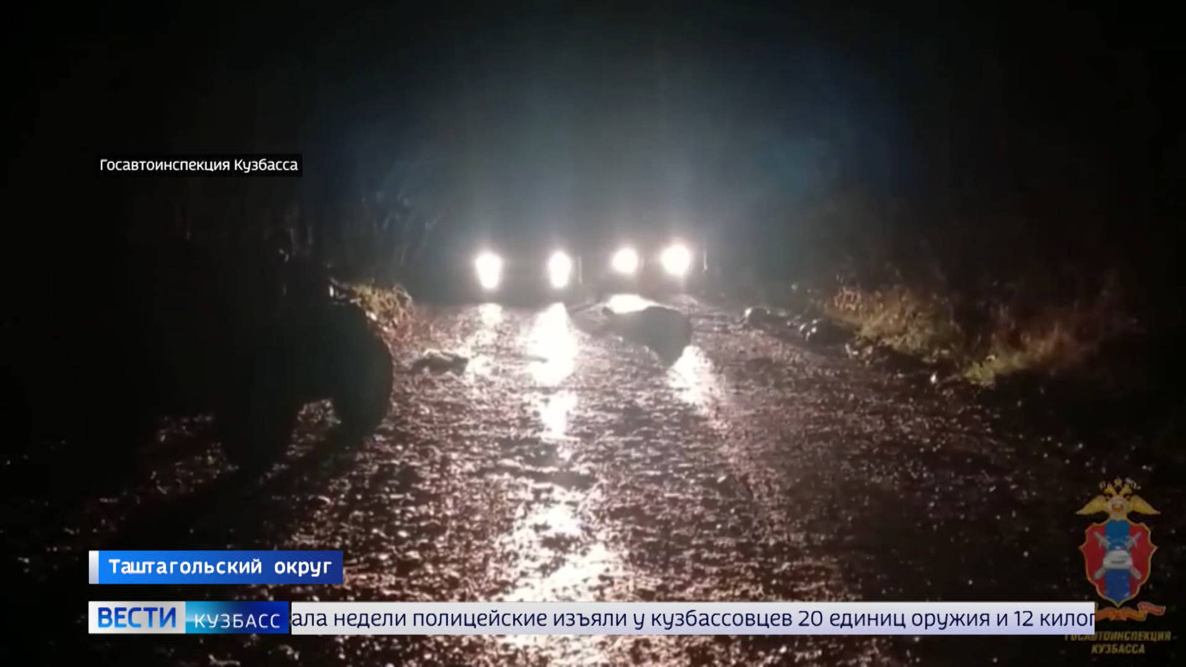 Гибель квадроциклистки, пьяные водители и 679 нарушений: сводка происшествий по Кузбассу