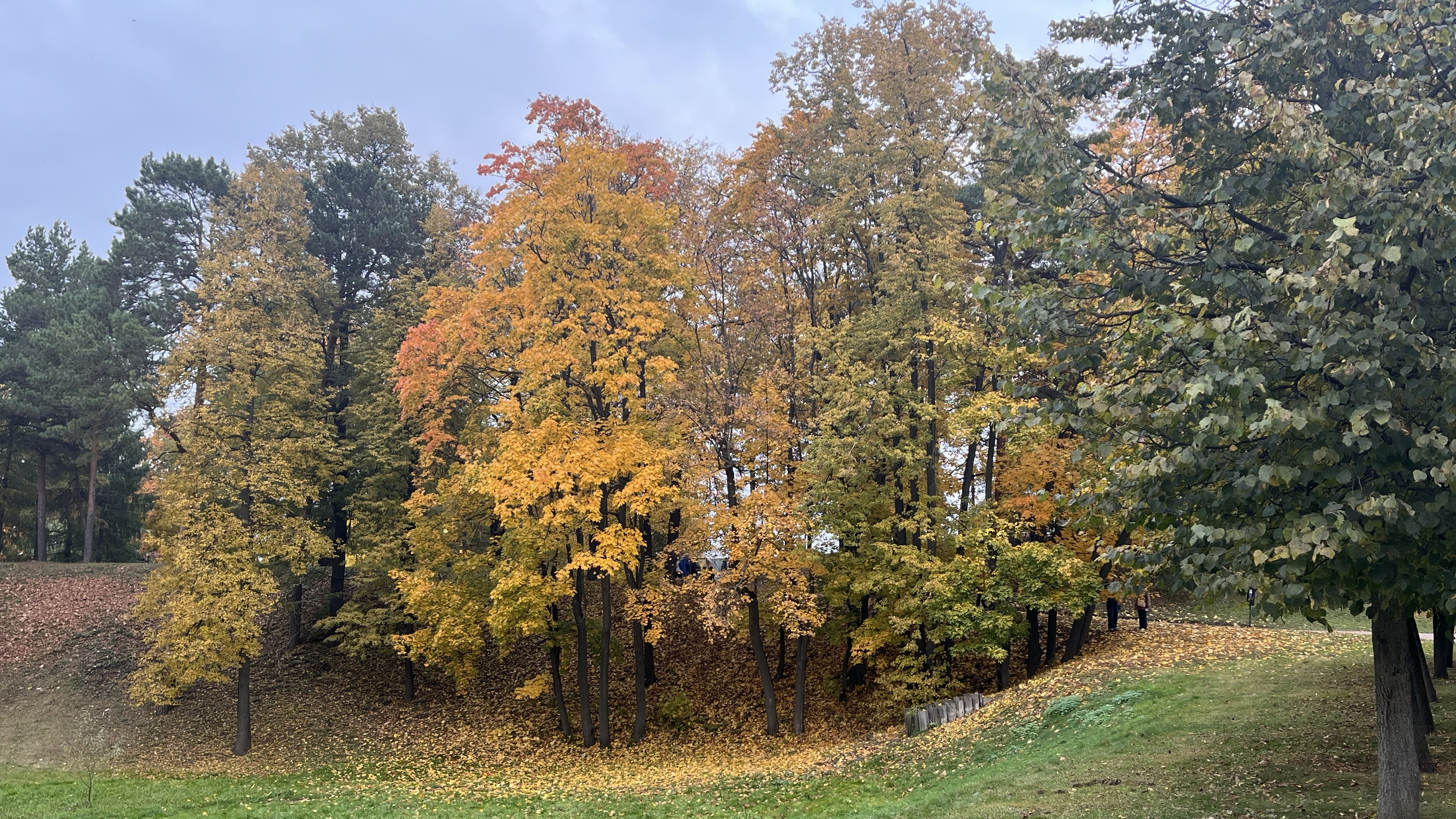 Царицыно-Плотина_08-10-2025 смотреть онлайн