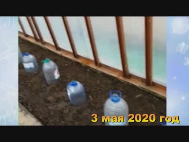 7 соток. Посадила огурчики. Хроника 3 мая 2020 год