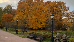 Царицыно-рядом с Оранжереями_08-10-2025