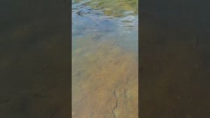 национальный парк Китая