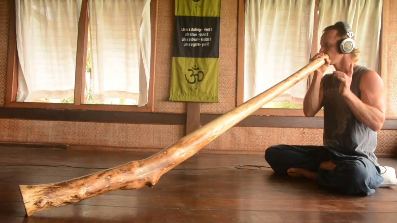 DIDGERIDOO FROM EUCALYPTUS YELLOW BOX - 185cm - D