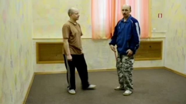 Тайцзицюань 24 формы - пояснения