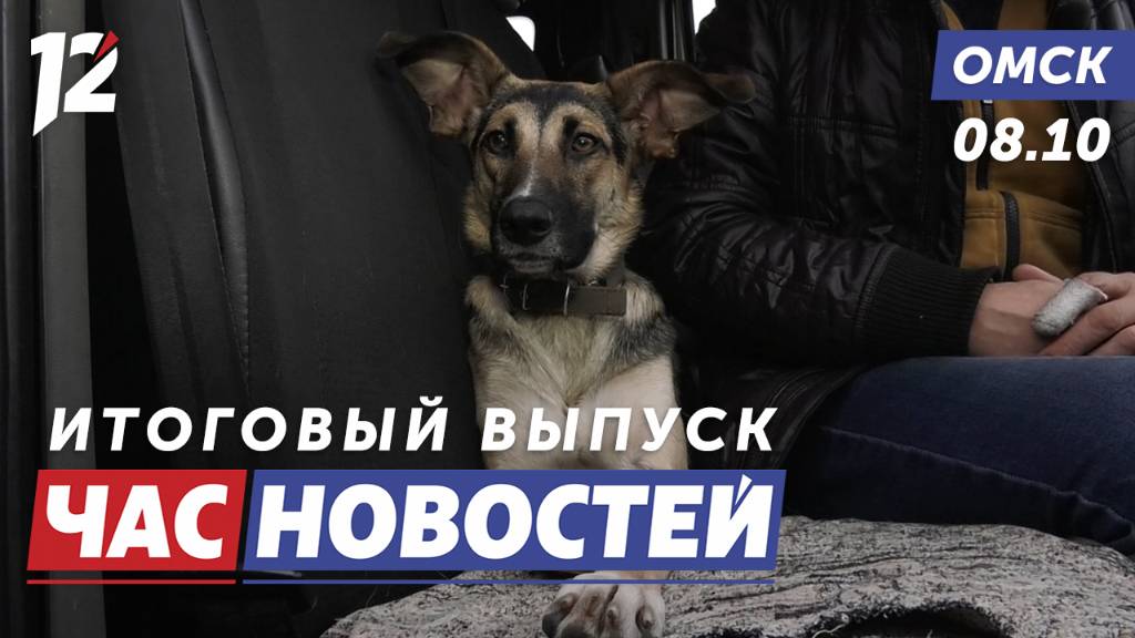 Водитель с питомцем / Горы строительного мусора / Открыл огонь по сотруднику ФСБ. Новости Омска