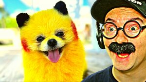 100 САМЫХ СМЕШНЫХ ВИДЕО (2 Выпуск) 30 МИНУТ СМЕХА!