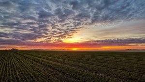 Через край затмение луны (Suno AI)