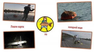 Ловля карпа по холодной воде