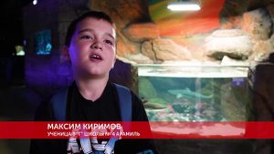 Рыбы-клоуны, акулы и скаты: школьники из Арамиля отправились в океанариум с «Верным отличником»