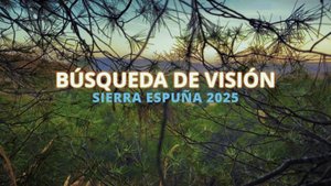 Поиск Видения 2025, Сьерра Эспунья, Испании