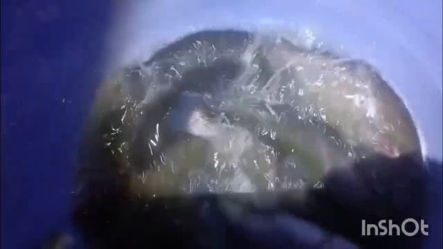 1000119558.mp4