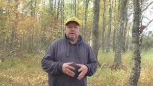 "Последний тёплый день сезона" - Дневник грибника" 30 сентября 2023 года.