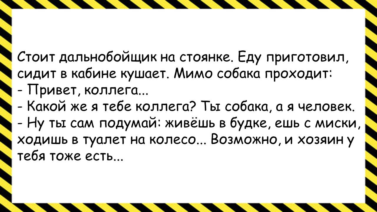 Стоит дальнобойщик на стоянке... Анекдоты всех времён и народов