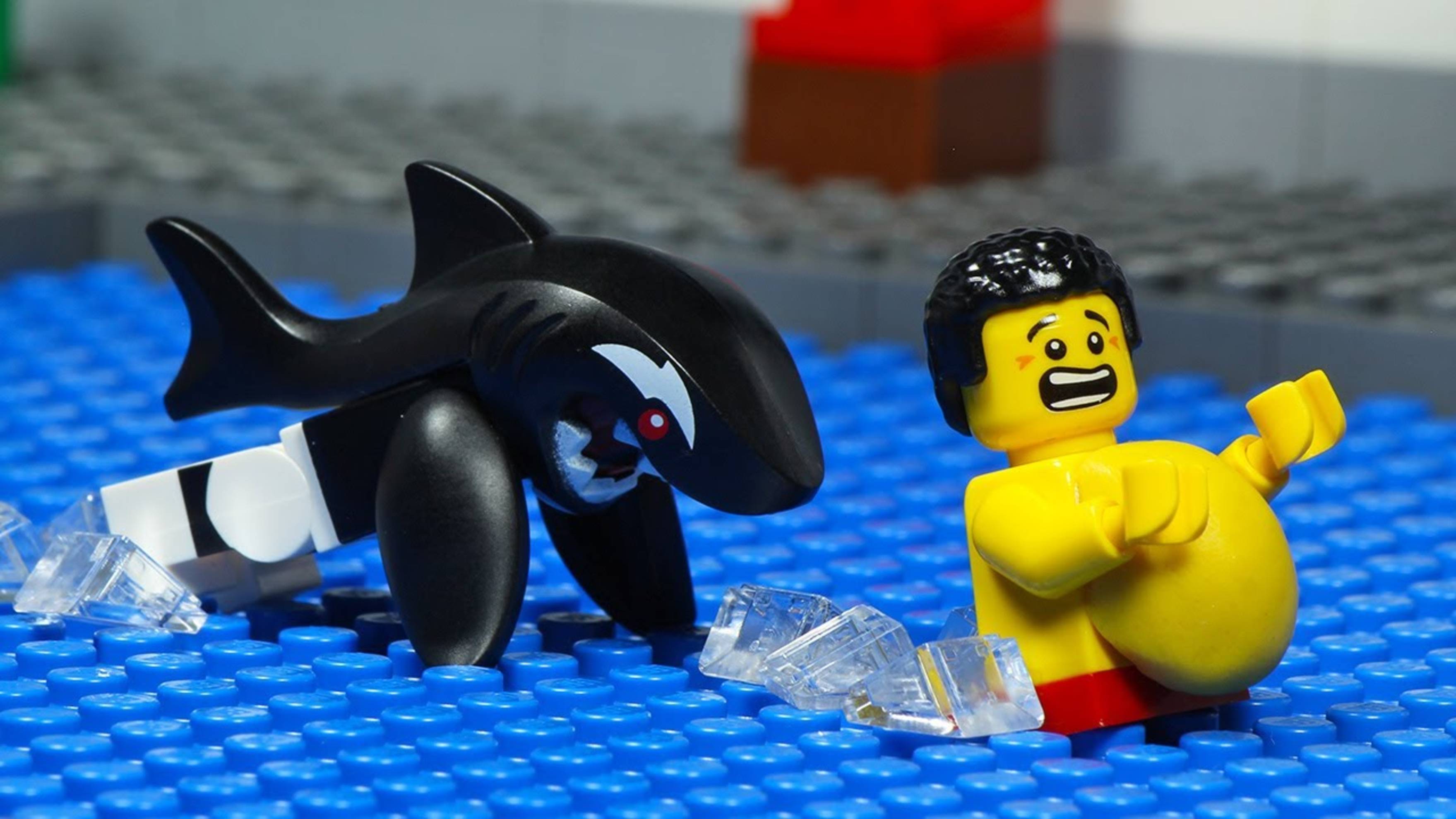 LEGO CITY БЕШЕННЫЙ ДЕЛЬФИН НАПАЛ НА ТОЛСТЯКА МУЛЬТИК ДЛЯ ДЕТЕЙ ЛЕГО АНИМАЦИЯ