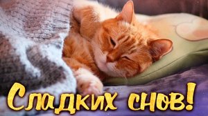 Чудесных снов. Музыкальная открытка поздравление.