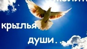 Песня:,,Прими благодать"