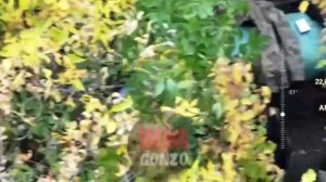 Точное поражение цели: работа Ямпольского полка на Краснолиманском направлении