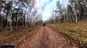 Форелька. Часть 1. Поворот не туда