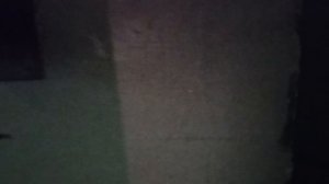 Пассажирский лифт V=1 м-с, Q=320 кг (5075)