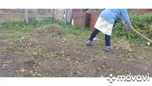 уборка в в огороде