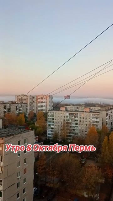 1000774220.mp4