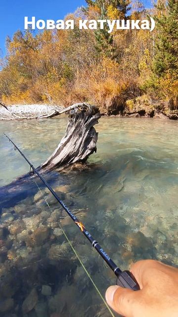 Испытание новой катушки nautilus faith