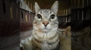 наберём или нет?😏