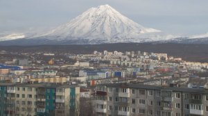 СТОП, МЕДВЕДЬ!