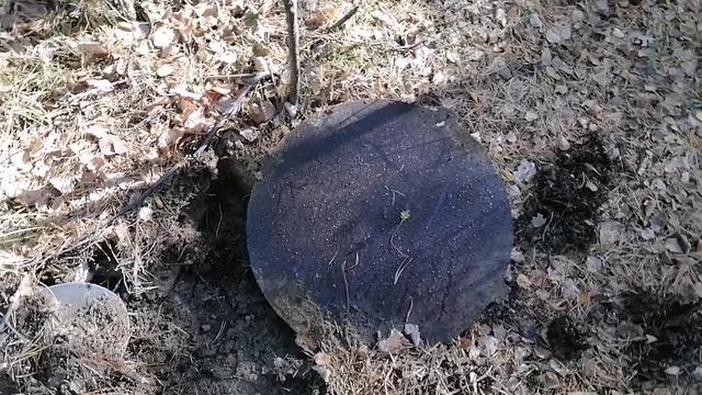 Опять отличная находка
