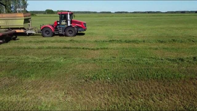 Тюменцев приглашают принять участие во Всероссийском аграрном диктанте