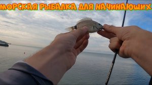 Морская рыбалка для начинающих. Чайник на рыбалке.