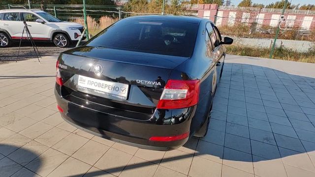 VID_20251008_104844