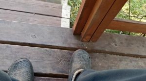 СОЧИ ГОРНОЕ ЛОО ВЕЧЕР 08.10.2025